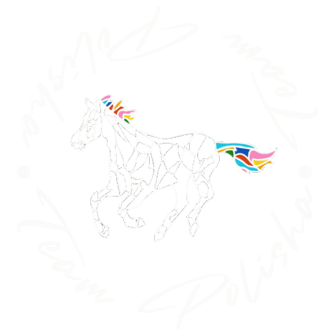 Argentina Polo Sticker by Polito Pieres