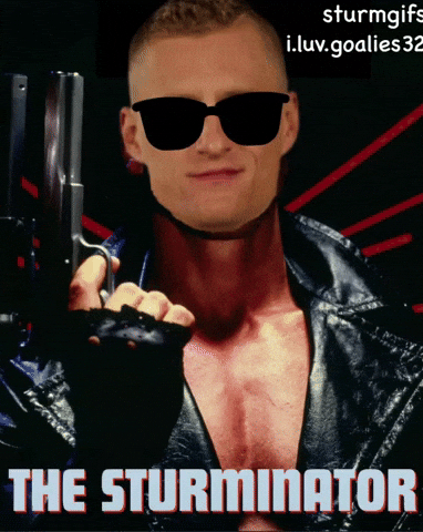 Minnesota Wild Hockey GIF