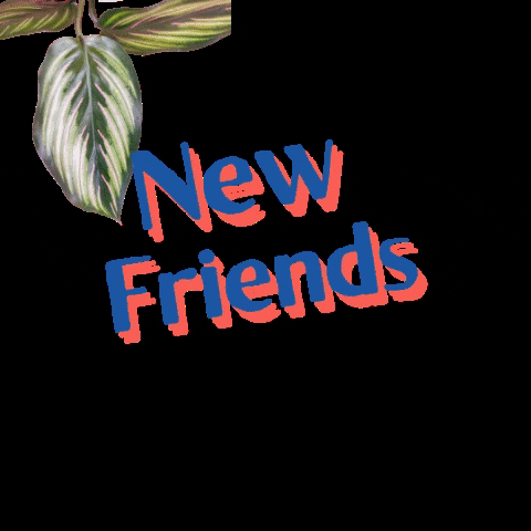 Friends or Friends GIF