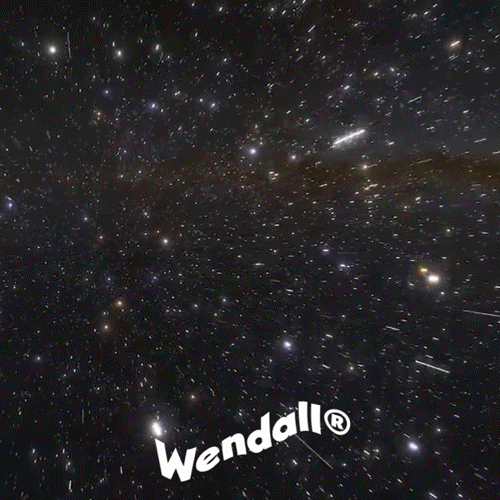 WENDALL BA GIF