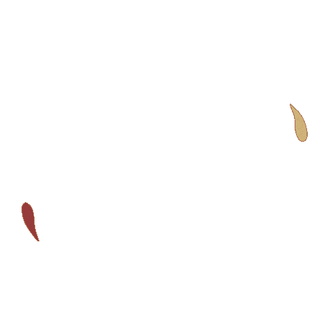 San Giorgio SPA Sticker