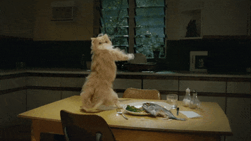 Digital art gif. A cat looks over its shoulder as it shakes its tail at us from a table set with a plate of fish.