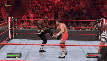 Pro Wrestling Fight GIF by Xbox
