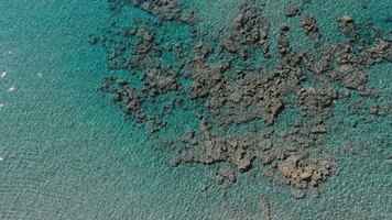 Beach House Arvi GIF