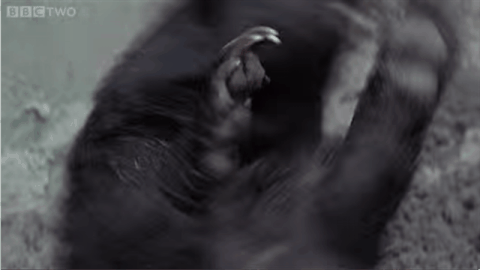 giphy.gif?cid=4d1e4f2966794076715e7f589899ef998f4b3dd0c53b05d1&rid=giphy.gif