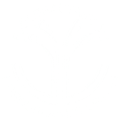 Fnv Sticker by Félag kvenna í atvinnulífinu í Danmörku