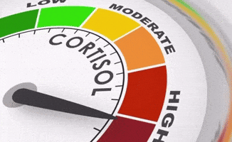 Cortisol Levels GIF