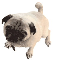 THE NEW ATLANTIC Sticker