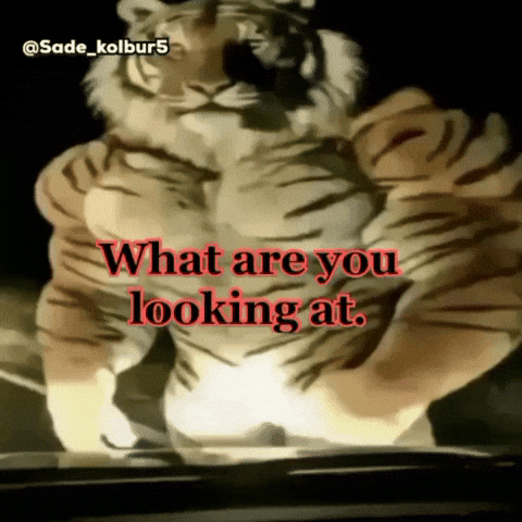 What Are You Looking At GIF