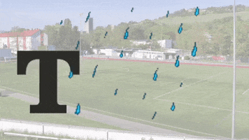 TuS Lörrach-Stetten GIF