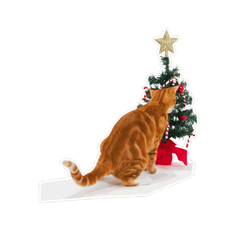 Christmas Tree Sticker by Petsure UK