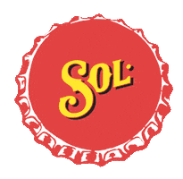 Orange Love Sticker by cervezasolchile