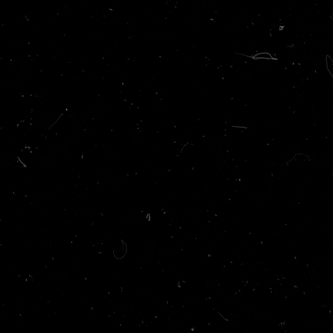 GIF by Klangi