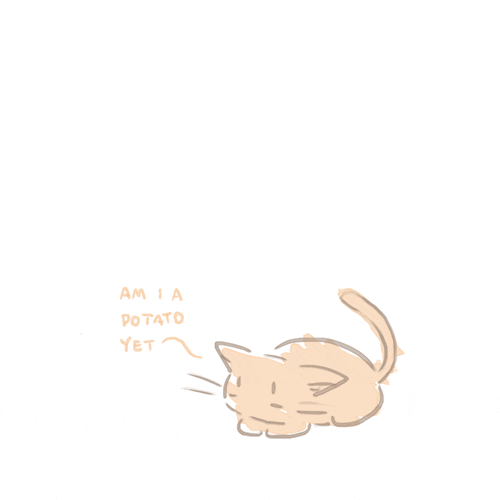 Cat Drawing GIF by hoppip Find & Share on GIPHY