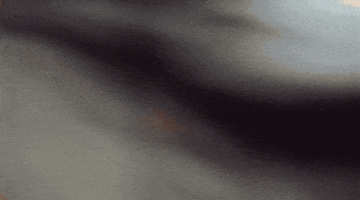 New York City Yes GIF by Hardly Art