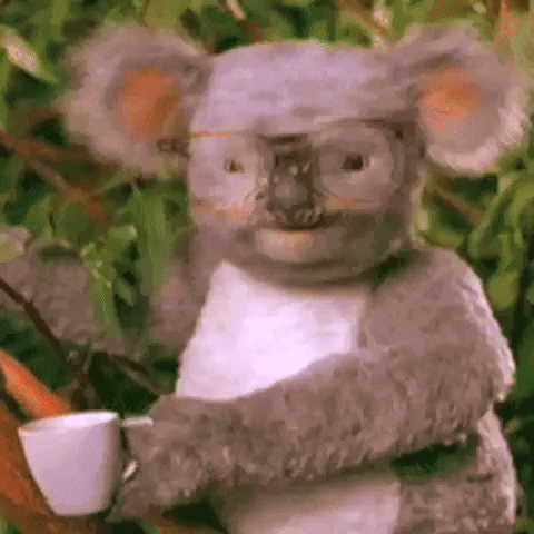 Video gif. A koala with glasses on is holding a mug and sits in a tree. They start to say something when all of a sudden, a hand comes out and hits their face. Their glasses fly off and they looked shocked, and an interrobang pops up next to them.