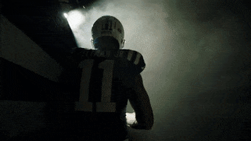 Michael Pittman Football GIF by Indianapolis Colts