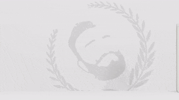 amederius GIF