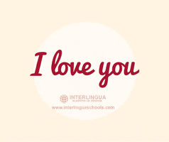 Oscuelar love amor sanvalentin idiomas GIF