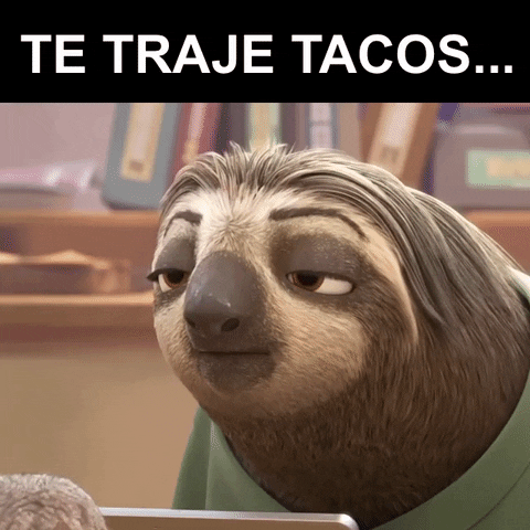 rayuribe tacos GIF