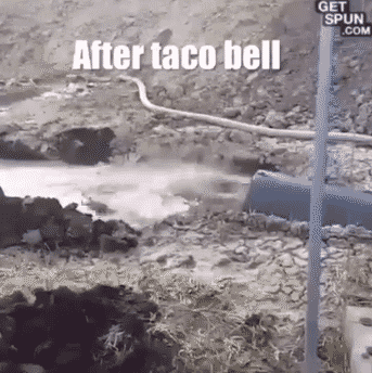 pot taco bell taco bell GIF