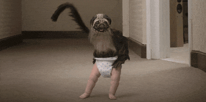 Puppy Monkey Baby Gifs Get The Best Gif On Giphy