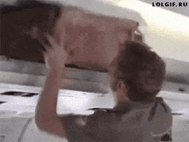 caravan  GIF