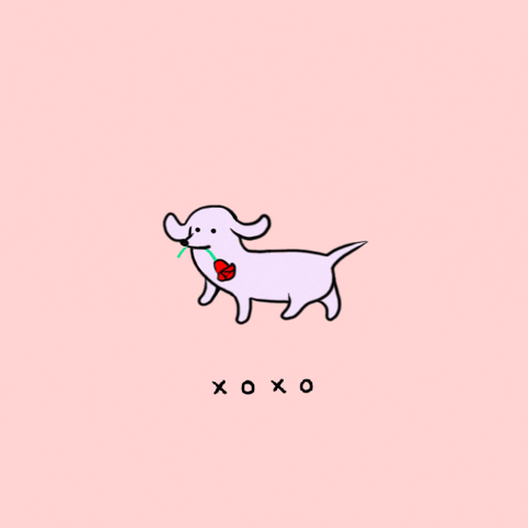 Kawaii gif. A white dachshund walks in place with a rose in its mouth. Text, "XOXO".
