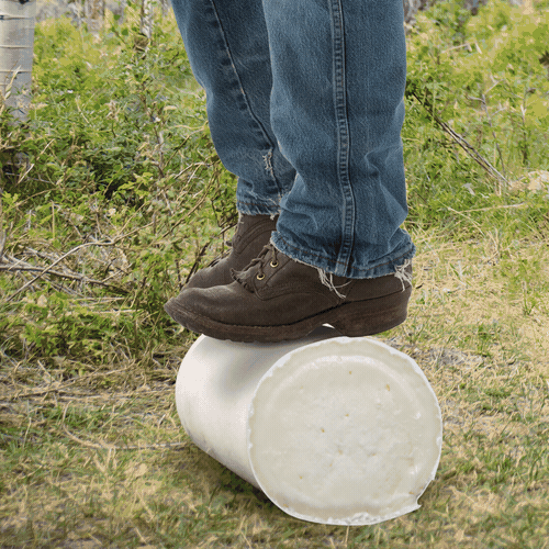 Head Cheese GIF by Robbie Cobb Find & Share on GIPHY