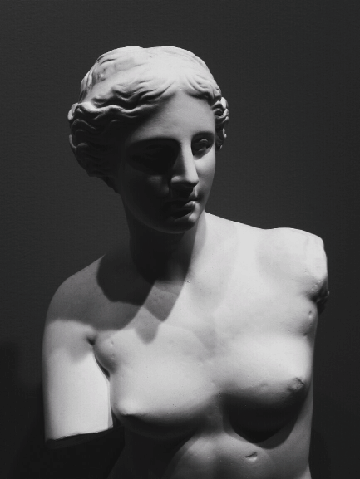 samer_fouad.psd animated GIF