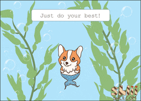 shlii happy kawaii motivation corgi GIF