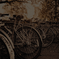 200.gif?cid=fc005b08859debcfad929830c4a4ebbe0d723b6f4b903e3d&rid=200.gif&ct=g