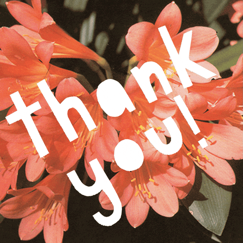Text gif. Animated letters over a photograph of pink flowers bounce a little. Text, "Thank you!"
