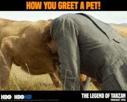 hbo oct GIF by HBO India