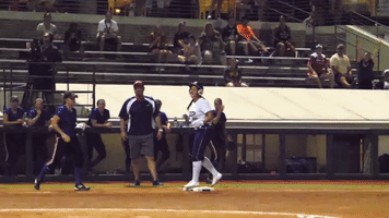 national pro fastpitch GIF by USSSA Pride
