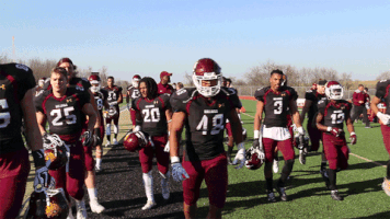 Excited Football GIF