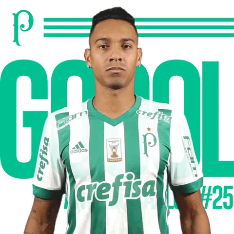 GIF by SE Palmeiras
