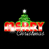 merry christmas GIF by Omer