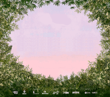 Bbk GIF