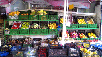 Shemodgoma Xil-Bostneuli GIF