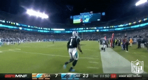 Football Touchdown Gif Carolina Panthers Football GIF by NFL - Find & Share on GIPHY