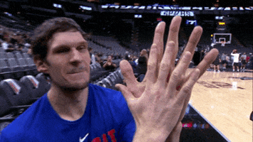 Boban Marjanovic Hands GIF by NBA