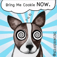 dog hypnosis GIF by Red & Howling