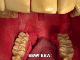 200.gif?cid=fc005b08109960702a83369276ef4e3abf5e043daf7bae47&rid=200.gif&ct=g
