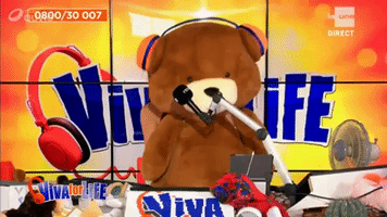 Teddy Viva For Life GIF