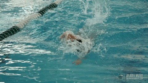 Giphy - Pool Swimming GIF by GreenWave