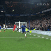 Sliding Premier League GIF by Chelsea FC