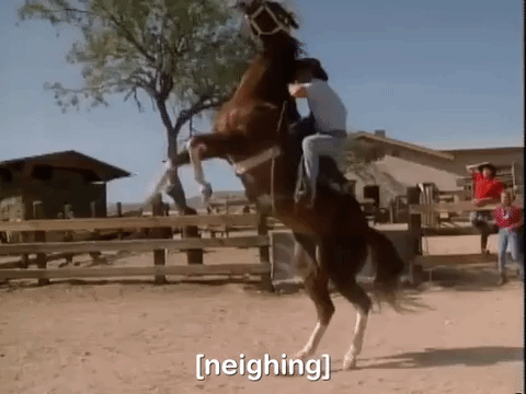 Giphy - hey dude nicksplat GIF