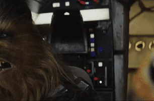 matthofmann star wars the last jedi porg GIF