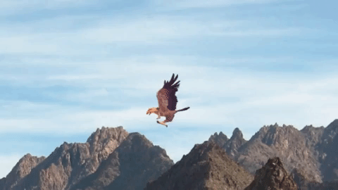 Https Encrypted Tbn0 Gstatic Com Images Q Tbn 3aand9gcrtqmu0cscmc4ypsekb S 4sdemlqtkxfz1outptxcjk4 Dg4yc